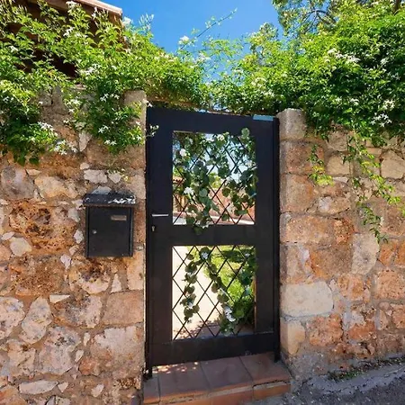 Giani Chania *